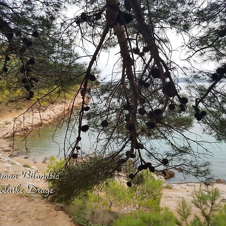 Apartman Bilandzic Drage Εξωτερικό φωτογραφία