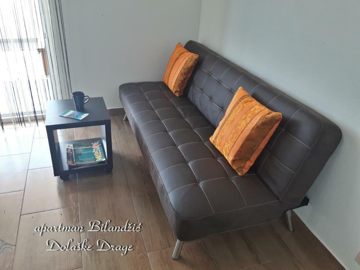Apartman Bilandzic Drage Εξωτερικό φωτογραφία