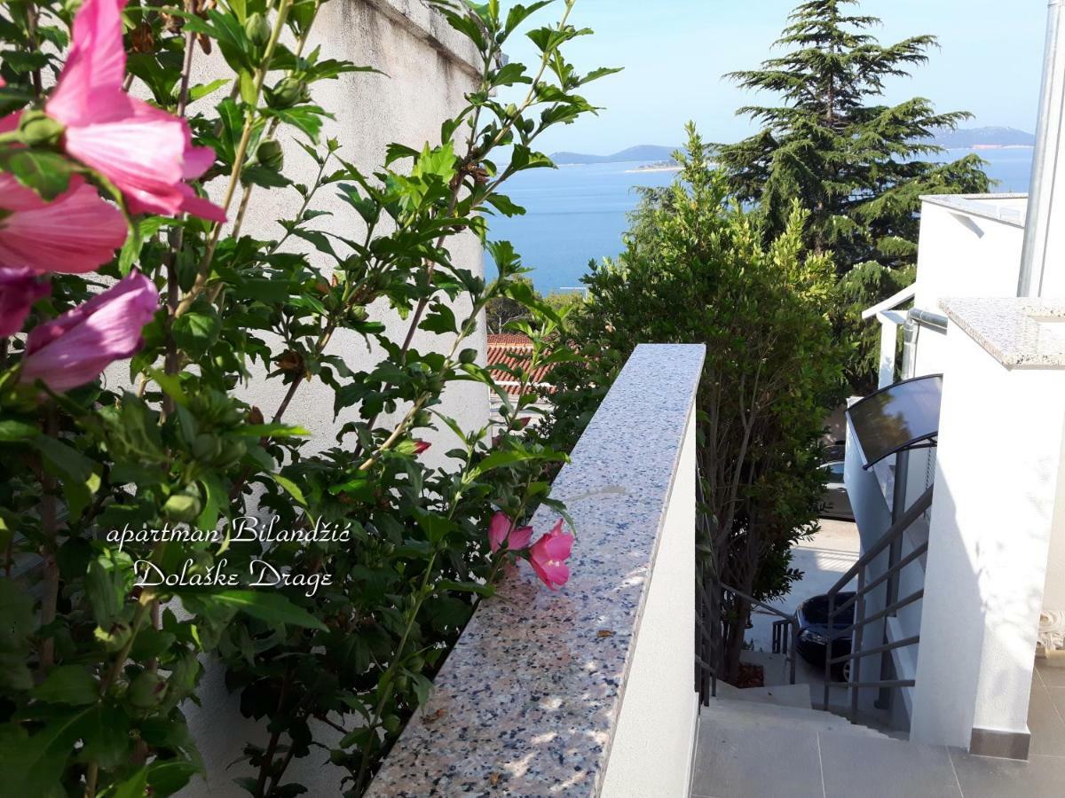 Apartman Bilandzic Drage Εξωτερικό φωτογραφία